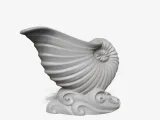 Sea shell-2