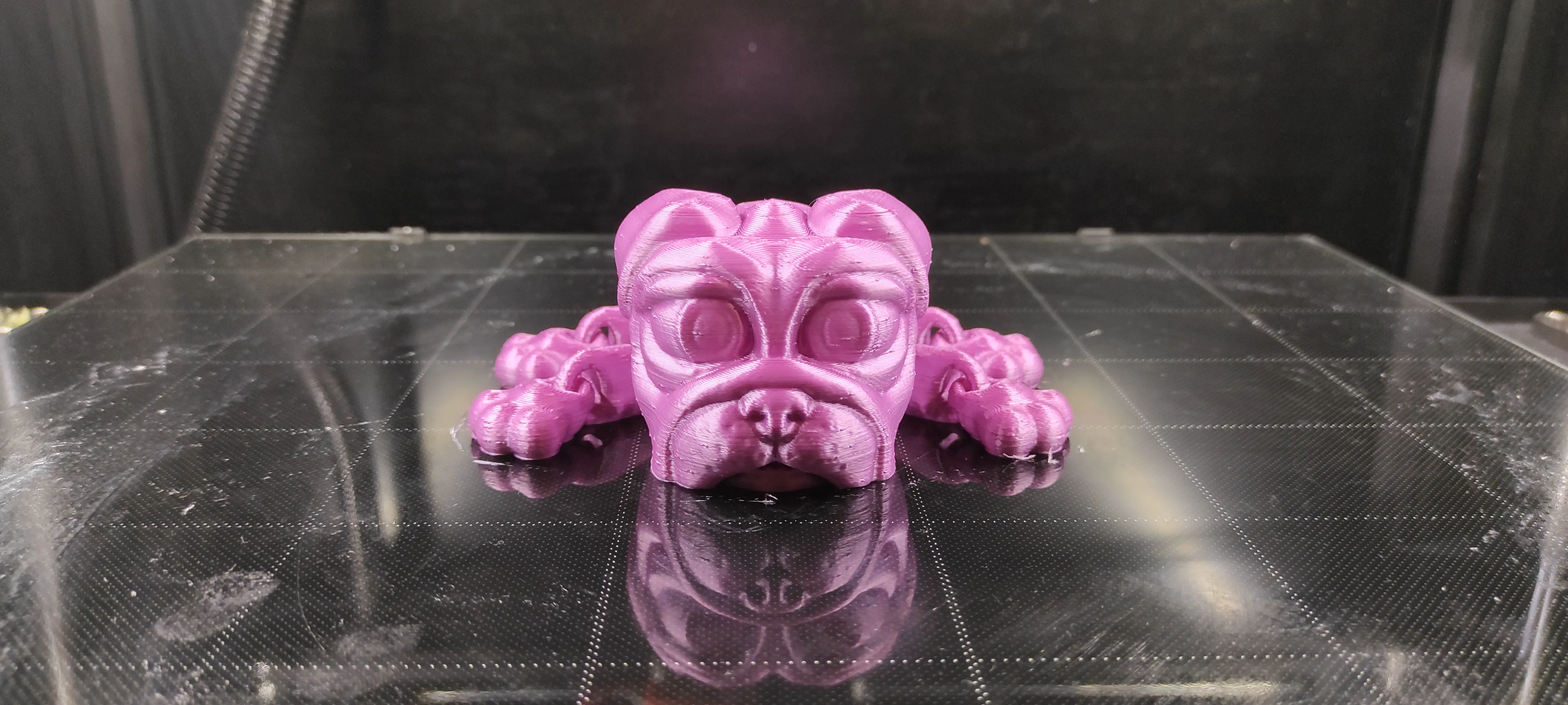 CUTE FLEXI PRINT-IN-PLACE DOG