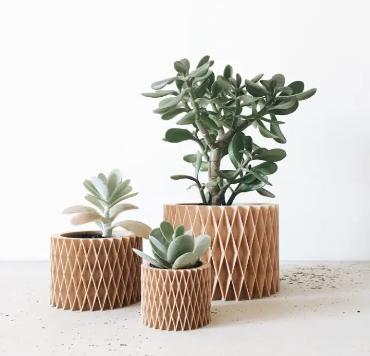 plante en pot zigzag