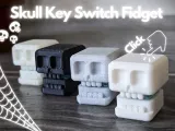 Skull_Key_Switch_Fidget-2