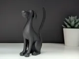 Cane Elegante-7