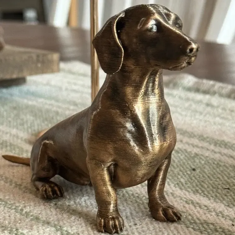 Dachshund