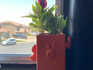 Tom Vase