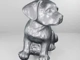 Dog with ball-3