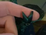 Parson's Chameleon-5