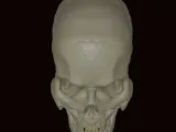 vampi̇r kafatasi 💀-4