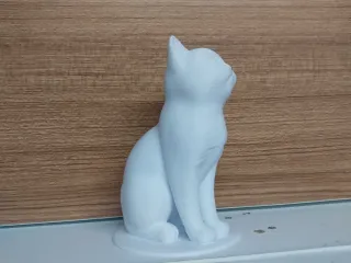 Cat No Support - Kedi Destek Yok