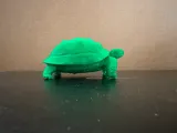 Tortoise-4
