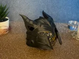Katzenhelm-1