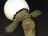 🐊🥚 CrocHatch Articulated Crocodile Hatching from Egg-4