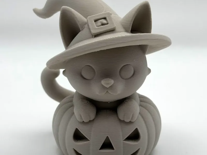 Gatto Zucca