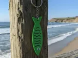 Sardine-3