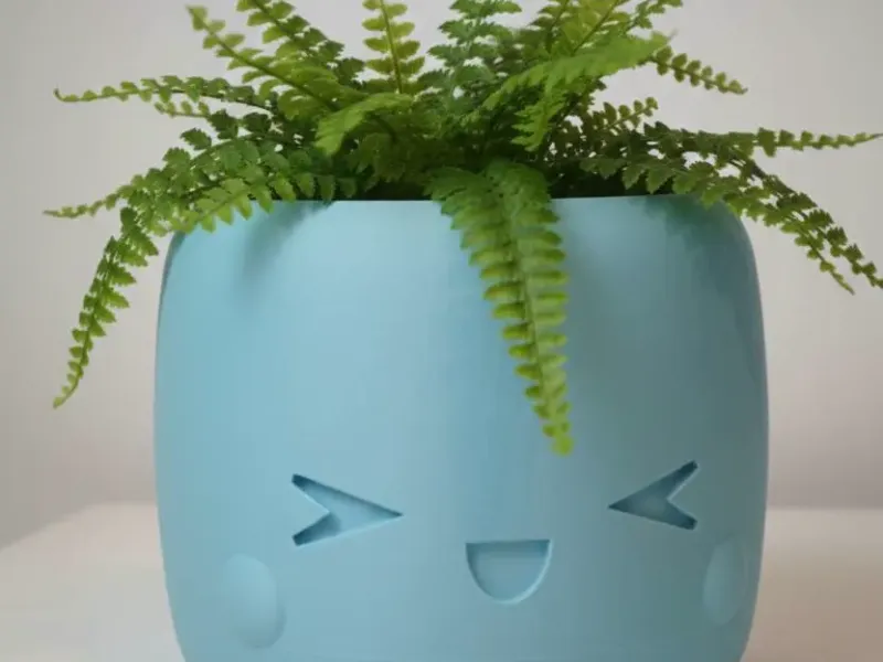 funny plant pot