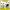 POKEBALLS MEOWTH EASTER EGG WITH HINGE