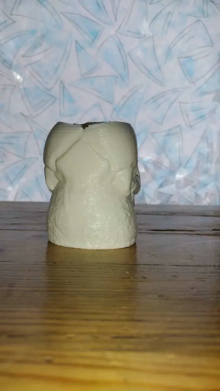 skull vase or skull pen holder 