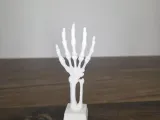 Skeleton Hand-3