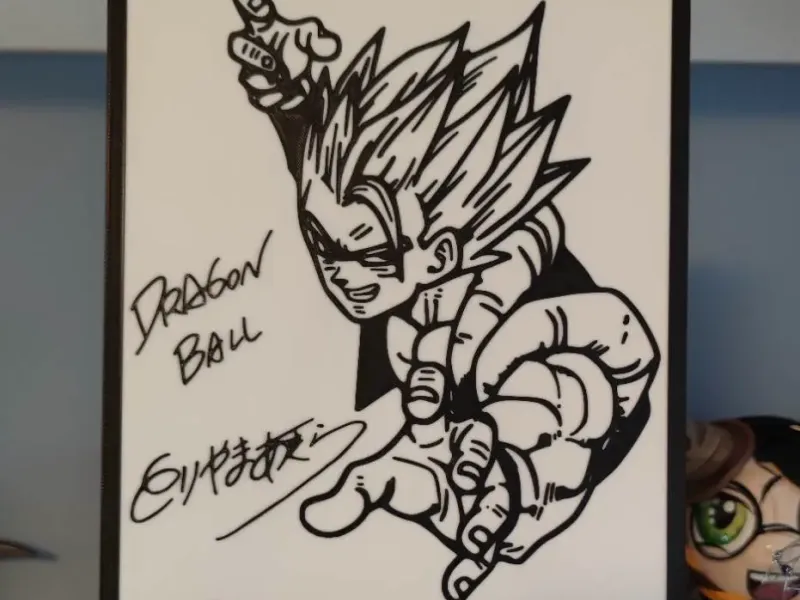 Original Akira Toriyama signed art Dragon Ball