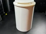 fly trap-2