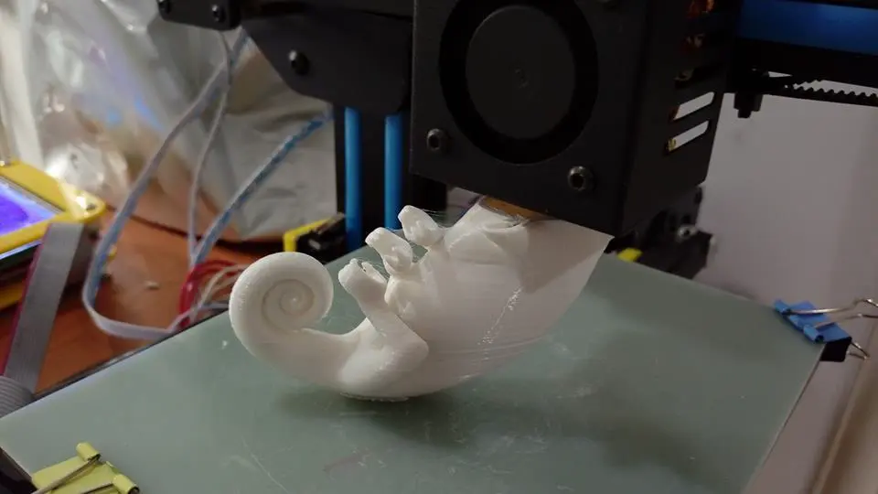 Caméléon (filament de nylon)