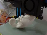 Chameleon (Nylon filament)-1