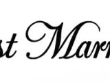 Just married stencil for cake dusting-1