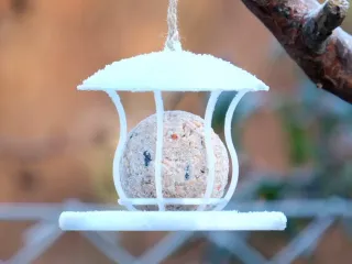 Tallow ball bird feeder