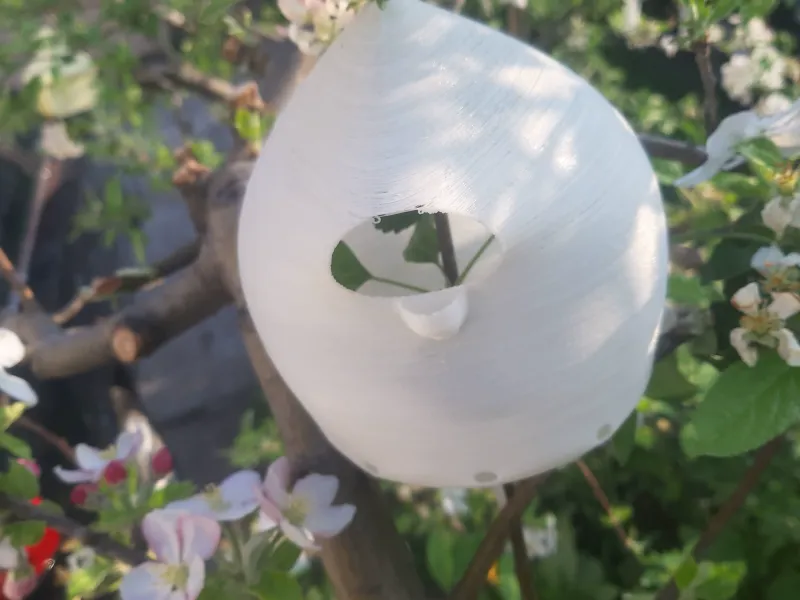 Balloon Birdhouse
