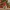 Gnome Christmas -- Christmas Decoration