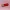 Lip balm holder shot gun shell