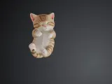 Kitten-0