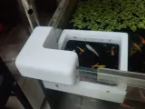 Small Fish Feeding Ring Fish Tank Feeding Ring鱼缸喂食圈-0