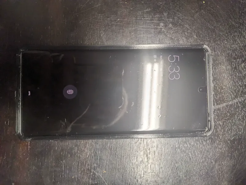 Pixel 7 Pro Case