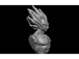 Majin Vegeta-1