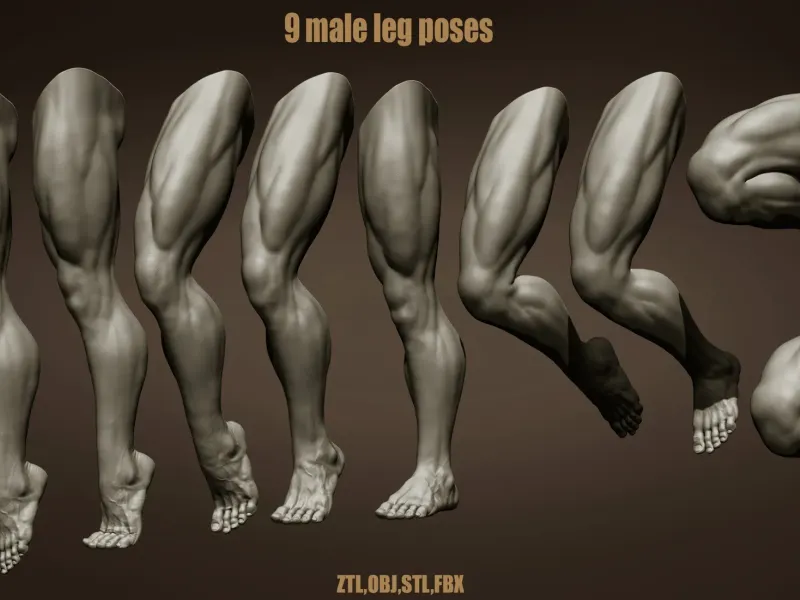 9 Male leg poses