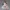 Morning Whisper Muse – Ecchi Cozy Allure
