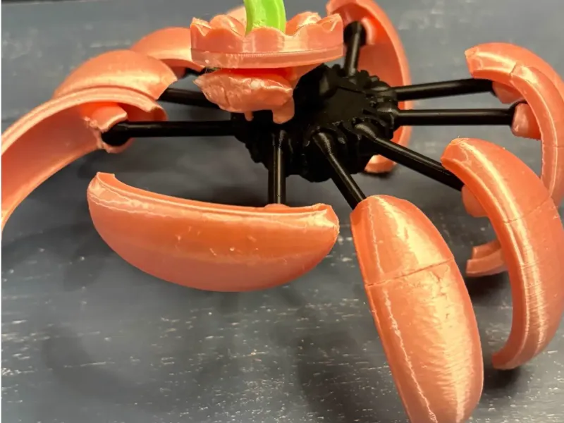 transforming pumpkin crab
