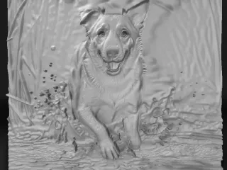 dog walking on water