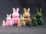 Cute Bunny-5