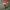 1 – Christmas Number One in Santa's Hat Figurine