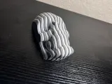Bent Reality Skull-2