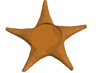 Star fish coaster