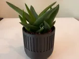 Small flower pot-0