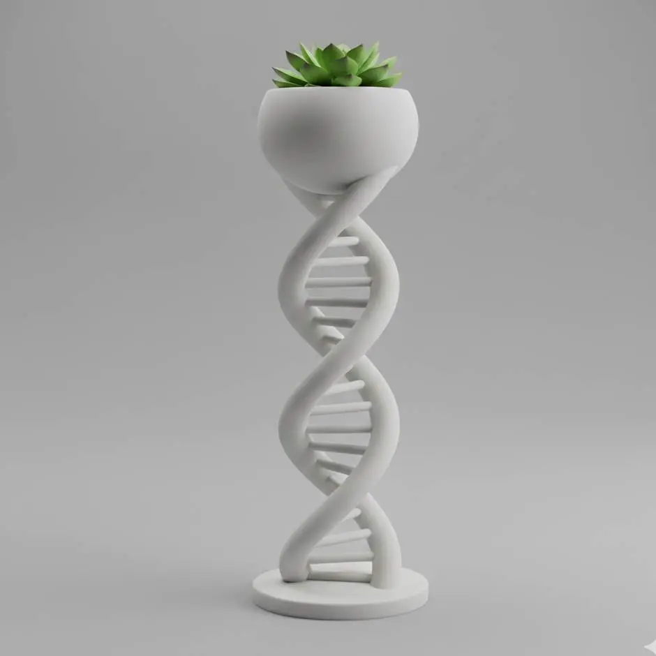 DNA Plant Pot Design