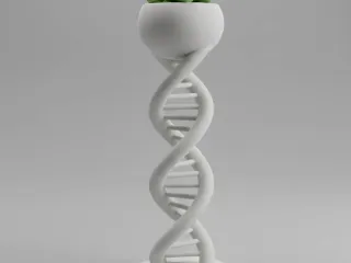 DNA Plant Pot Design