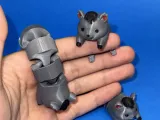 Clever Spring Mouse-2