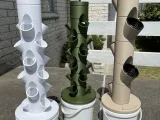 Remix van Dani's Indoor Grow Towers - hydrocultuur binnenshuis-0
