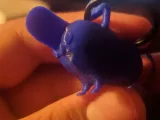 Pochita-4