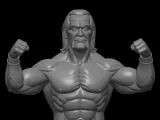 hulk hogan desgin-1