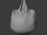 Birkenia Skull-7