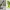 Suport pentru pixuri Chameleon (High-Res)